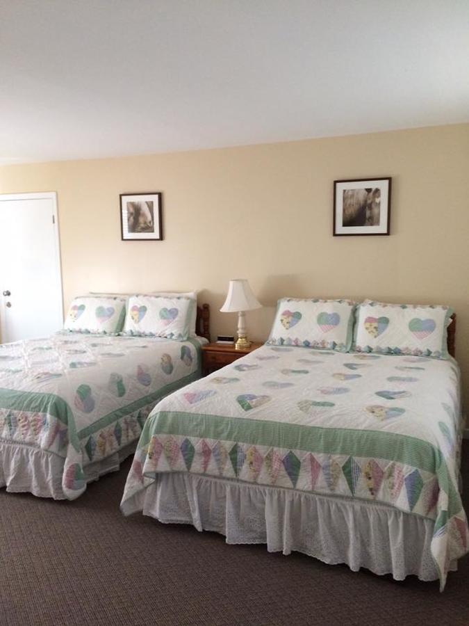 Aerie Inn Of Vermont East Dorset Buitenkant foto
