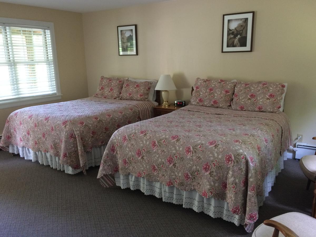 Aerie Inn Of Vermont East Dorset Buitenkant foto